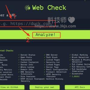 Web Check - 网站信息检测工具