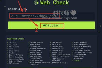 Web Check - 网站信息检测工具