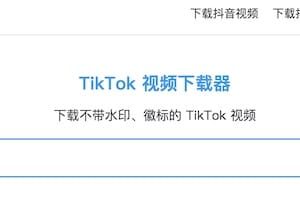 TikVideo.App - 在线TikTok视频下载工具