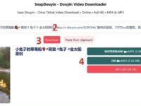 SnapDouyin - 抖音视频去水印解析下载的在线工具