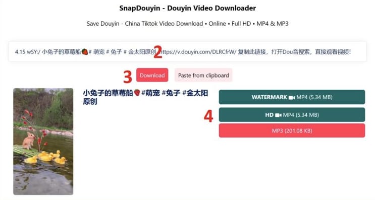 SnapDouyin - 抖音视频去水印解析下载的在线工具