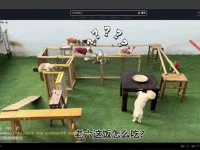 阿抖 - 抖音视频采集工具[Chrome扩展插件]