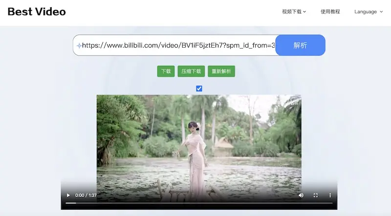 Best Video - 免费高效的在线视频下载工具,支持100+平台的视频下载利器
