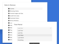 Chrome清理大师:chrome浏览器一键清理工具,保护隐私与提升速度
