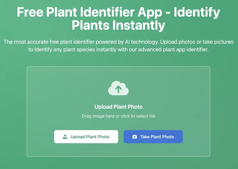 Plant App Identifier:拍照识别植物在线工具,快速准确识植物名称