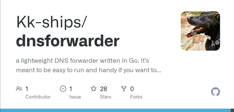 DNSForwarder：DNS转发器，轻量级开源DNS转发工具